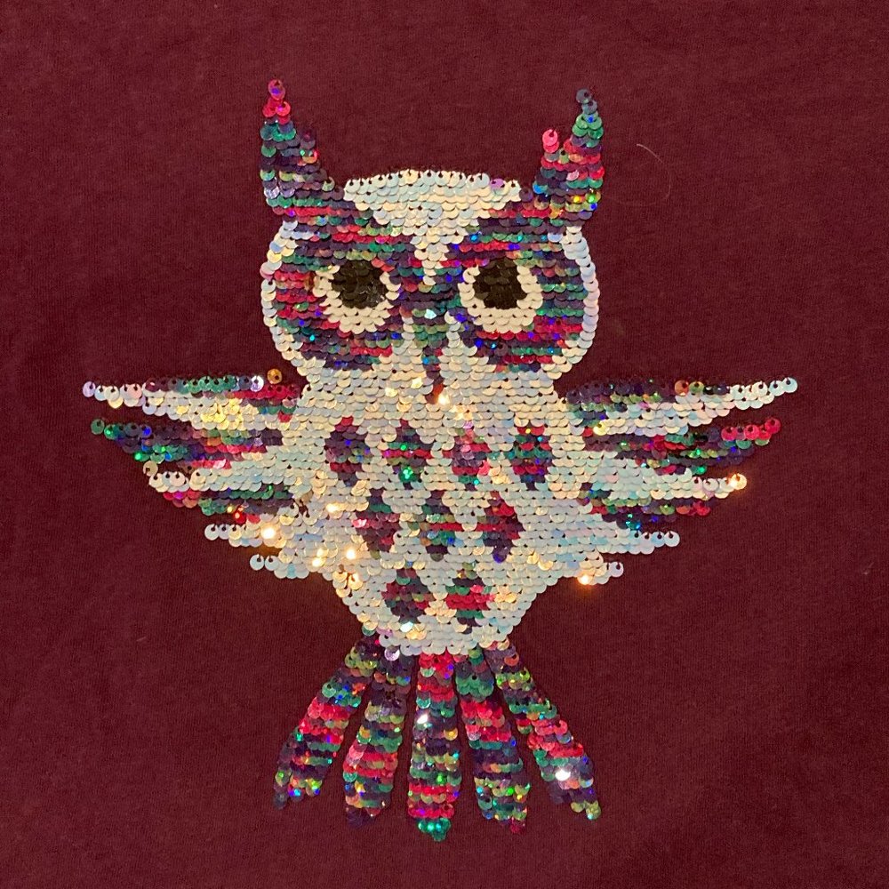 owl flippy sequin shirt